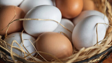 Egg Prices Top to High Record in Islamabad