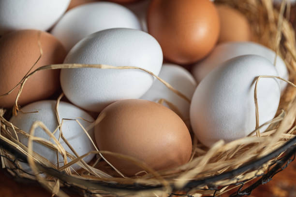 Egg Prices Top to High Record in Islamabad